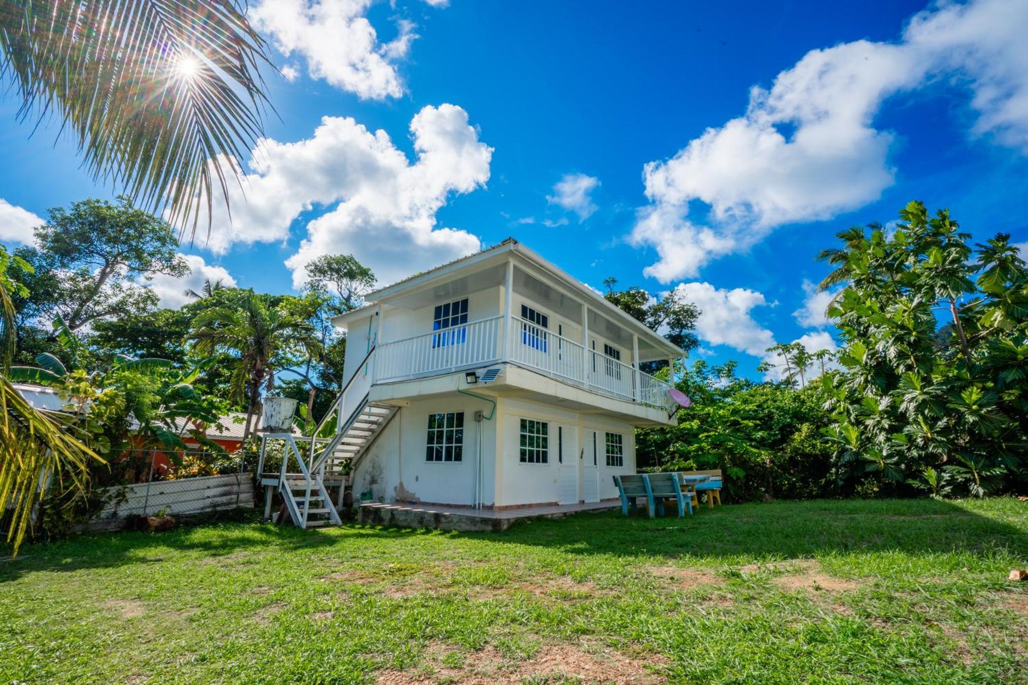Posada Mango Tree Bahia Suroeste Екстер'єр фото