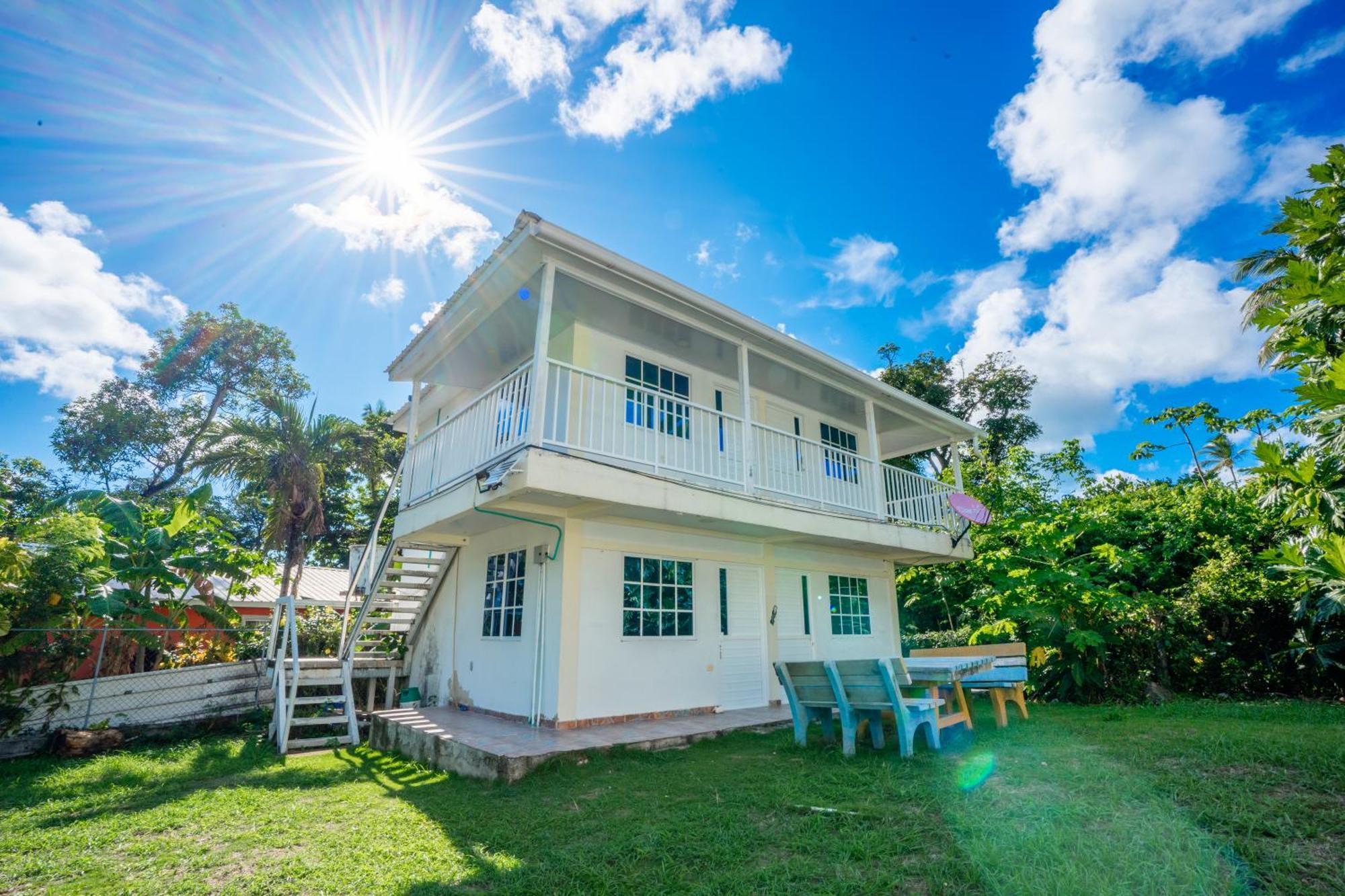 Posada Mango Tree Bahia Suroeste Екстер'єр фото