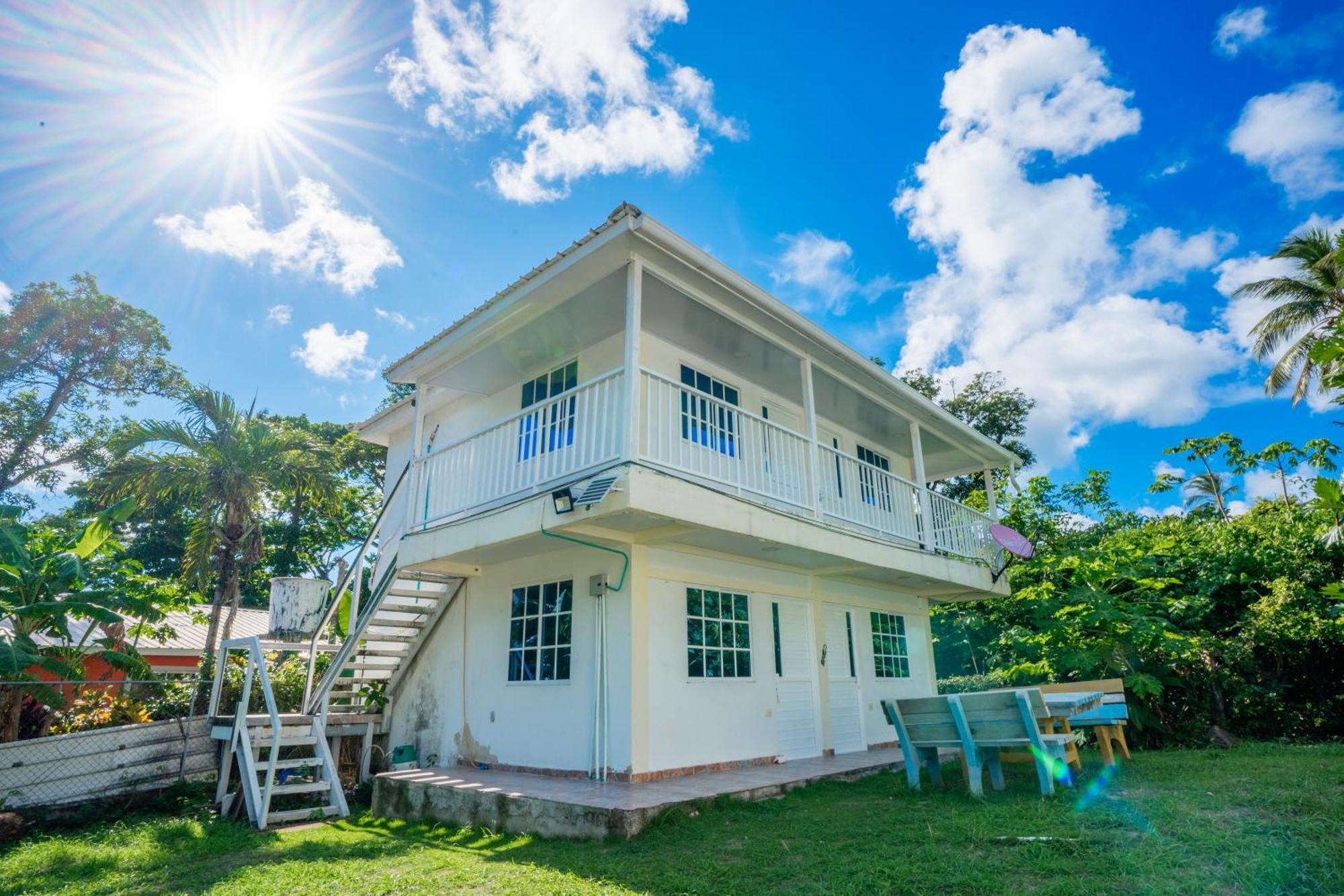 Posada Mango Tree Bahia Suroeste Екстер'єр фото