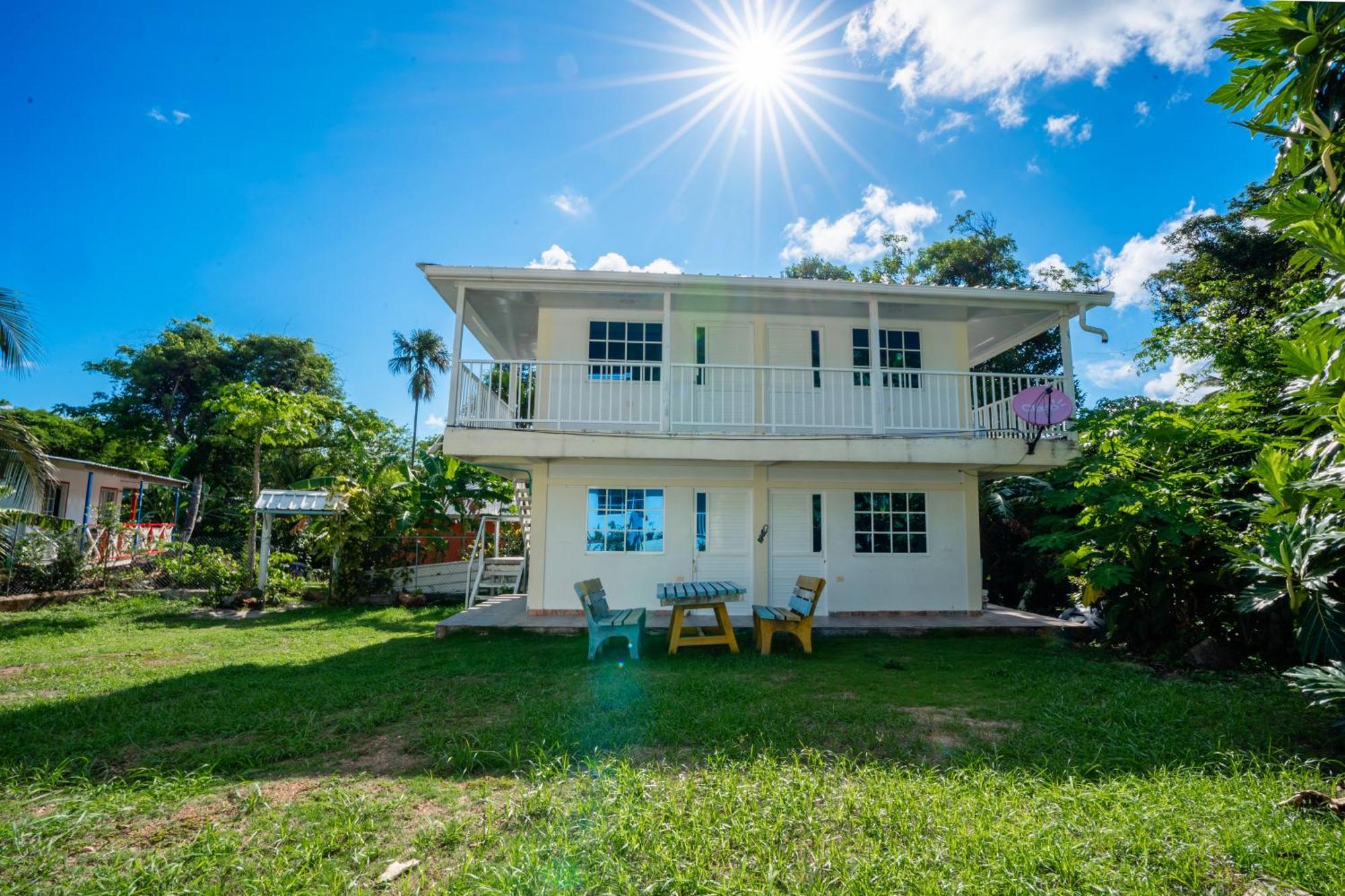 Posada Mango Tree Bahia Suroeste Екстер'єр фото