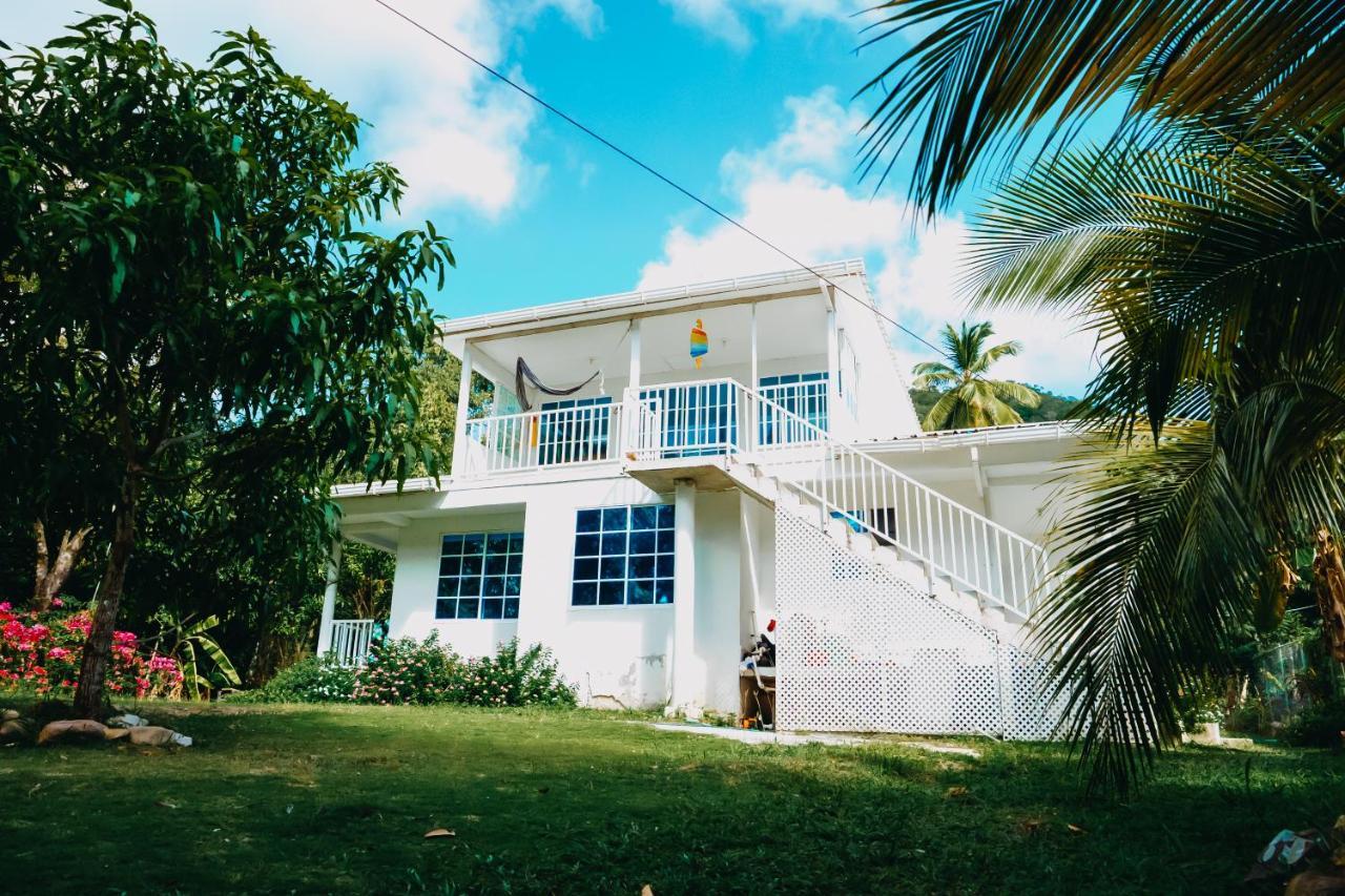 Posada Mango Tree Bahia Suroeste Екстер'єр фото